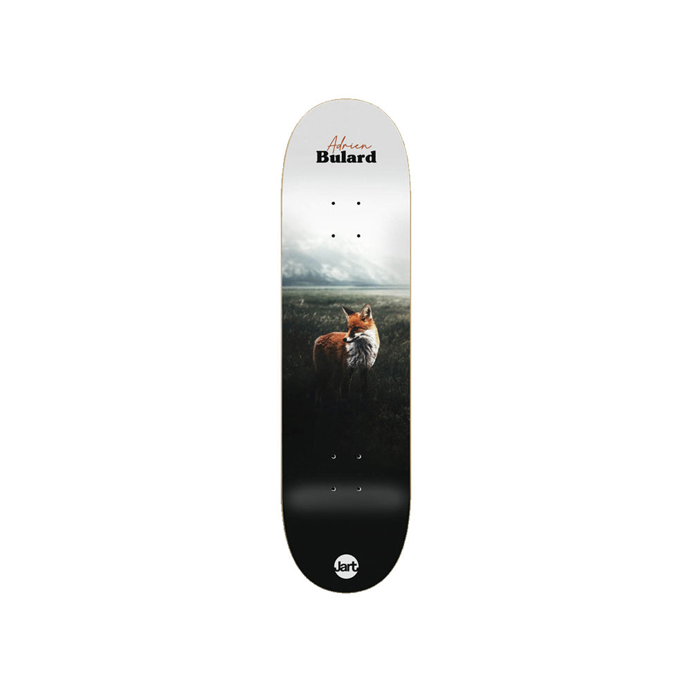 Jart Red Fox A. Bulard 8.125"