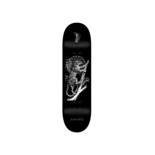 Sovrn Felis B 8"